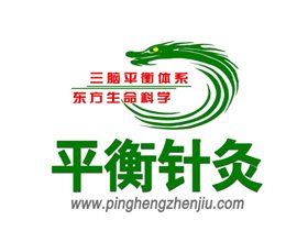 平衡针灸帮助病人打开生命开关启动大脑修复程序——学习王文远教授示教病例感悟