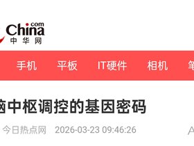 平衡针灸创始人王文远教授撰写的《大脑中枢调控的基因密码》发表在中华网