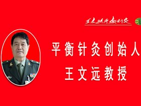 平衡针灸创始人王文远教授提出《两脑命运共同体平衡针灸调控技术——基于三脑体系的理论构建与临床应用》