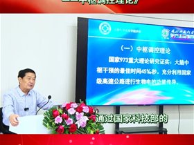 现代平衡针灸脑理论——中枢调控理论