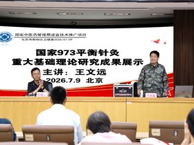 王文远教授提出平衡针灸是利用了病人的基因修复系统，让患者自己治疗自己的疾病