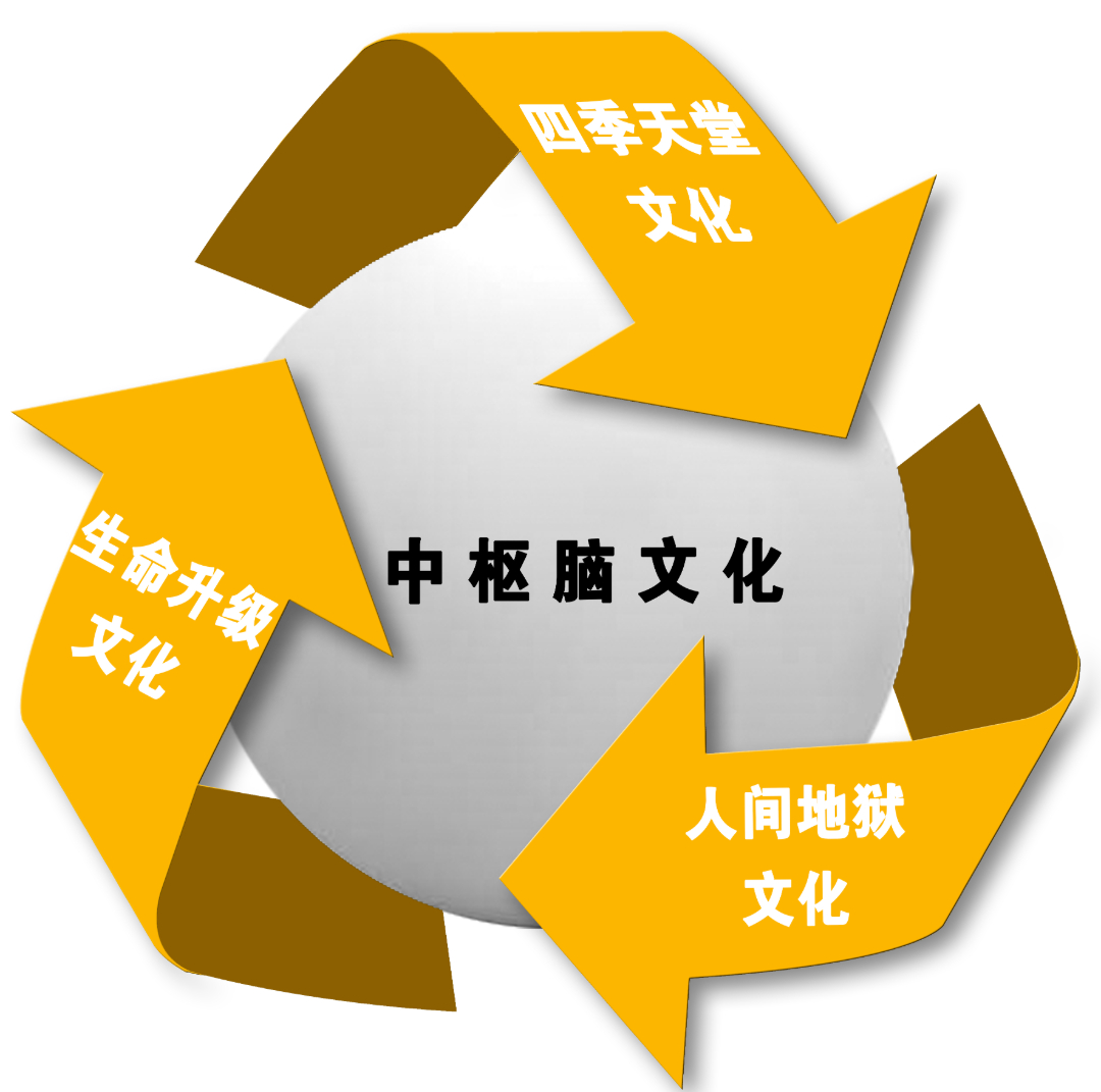 中枢脑文化.jpg