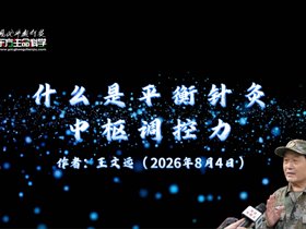 什么是平衡针灸一一中枢调控力