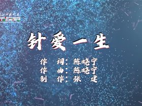 《针爱一生》